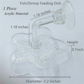 img 3 attached to 🐠 JZMYXA Mini Acrylic Feeding Dish: Ideal for Aquarium Shrimp and Small Fish