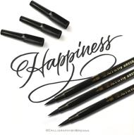 🎨 art-n-fly dual tip brush pens for lettering and calligraphy - fine and large black brushes for drawing logo