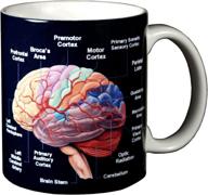 brain ceramic coffee wild cotton логотип