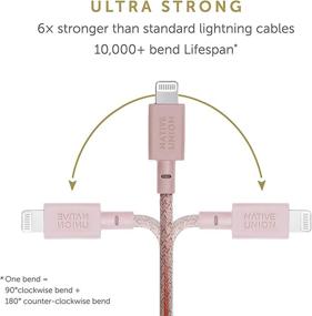 img 2 attached to Native Union Belt Cable XL - 10Ft Ultra-Strong Reinforced Durable USB-C To Lightning [MFi Certified] Charging Cable With Leather Strap Compatible With IPhone/IPad (Rose)