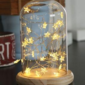 img 2 attached to 🌟 6M 40-Light Star Fairy Lights: Perfect Decoration for Christmas, Halloween, Valentines Party, Home & Bedroom