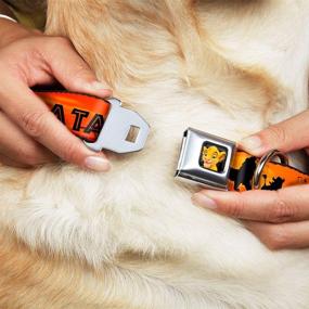 img 3 attached to Stay Safe with the Buckle-Down Seatbelt Buckle Dog Collar - Lion King Hakuna Matata Sunset Oranges/Black