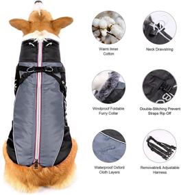 img 3 attached to 🐾 Ultimate Winter Wear for Medium to Large Dogs: Dog Jackets Coats with Harness, Waterproof and Windproof, Reflective Sports Apparel for Cold Weather