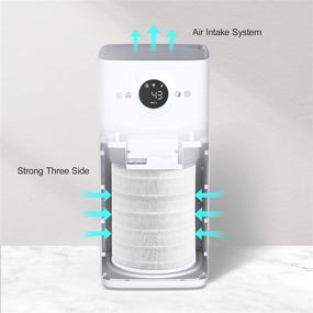 Colzer air deals purifier filter