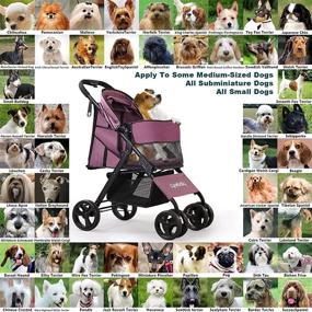 img 1 attached to 🐾 Lightweight Pet Stroller for Cats and Dogs - Foldable 4-Wheel Travel Gear with Storage Basket - Ideal for Small to Medium Size Dogs, Cats, and Rabbits