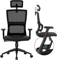 upgraded ergonomic office chair: lumbar support, adjustable armrests & headrest, mesh high back, home office desk chair, computer chair, rolling chair logo