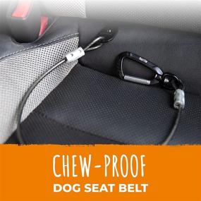 img 3 attached to Ремень безопасности Mighty Paw для собак в автомобиле