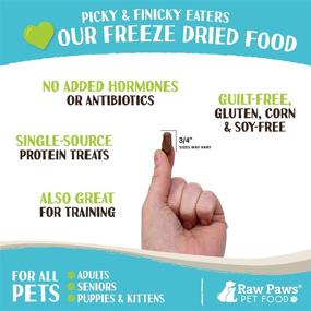 img 1 attached to 🐾 Antibiotic-Free Raw Paws Premium Freeze Dried Dog Food & Cat Food, 16 oz - Made in USA Only - Grain, Gluten, and Wheat Free - All Natural Pet Food