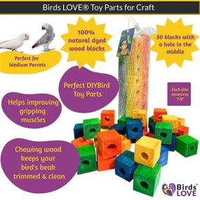 img 1 attached to 🐦 Birds LOVE DIY Toy Parts for Craft Parrot Toys: Leather Strip, Wood Block Beads, Colorful Pieces - Small, Medium & Large Birds - Buy Now!