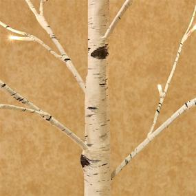 img 3 attached to 🌲 Lighted White Birch Tree Plug-in - 4FT 72 LED Twig Tree with Lights for Christmas, Thanksgiving, Holiday, Wedding, Party Decorations - Indoor & Outdoor Use