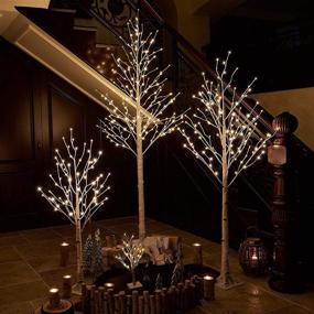 img 2 attached to 🌲 Lighted White Birch Tree Plug-in - 4FT 72 LED Twig Tree with Lights for Christmas, Thanksgiving, Holiday, Wedding, Party Decorations - Indoor & Outdoor Use