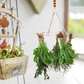 img 1 attached to 🌿 Boho Chic Herb Drying Rack 2-Pack - Macrame Hanging Flower Mobile with 20 Herb Dryer Hooks - Cotton Rope Woven Herbal Drier with Wooden Hanging Ring for Hydroponic Plants & Mushrooms