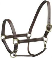 🐪 premium cob-sized camelot basic leather adjustable stable halter with snap logo