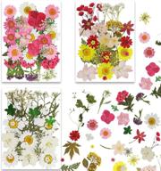 🌸 107pcs dried flowers for resin: pressed resin dried flowers and leaves for diy candle, bracelet, phone shell, and makeup resin decorations - jewelry crafts making logo