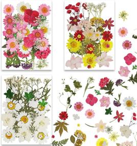img 4 attached to 🌸 107pcs Dried Flowers for Resin: Pressed Resin Dried Flowers and Leaves for DIY Candle, Bracelet, Phone Shell, and Makeup Resin Decorations - Jewelry Crafts Making