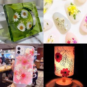 img 3 attached to 🌸 107pcs Dried Flowers for Resin: Pressed Resin Dried Flowers and Leaves for DIY Candle, Bracelet, Phone Shell, and Makeup Resin Decorations - Jewelry Crafts Making