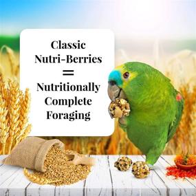 img 3 attached to 🐦 LAFEBER'S Classic Nutri-Berries Pet Bird Food: Non-GMO, Human-Grade Ingredients for Parrots