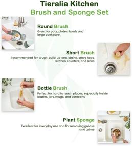 img 2 attached to 🌿 Tieralia 5-Piece Eco-Friendly Bamboo Kitchen Brush and Sponge Set - 100% Sustainable