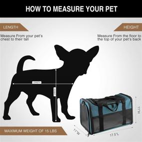 img 4 attached to 🐾 Akinerri Airline Approved Soft-Sided Pet Carriers for Medium-size Dogs and Cats: Collapsible & Travel-Friendly Pet Carriers