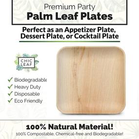 img 3 attached to 🌱 Chic Leaf Palm Leaf Plates Disposable 6 Inch Square (50 Pack)- Biodegradable & Compostable Appetizer or Dessert Plates, Heavy Duty Design- Eco-Friendly Alternative to Plastic & Paper Plates