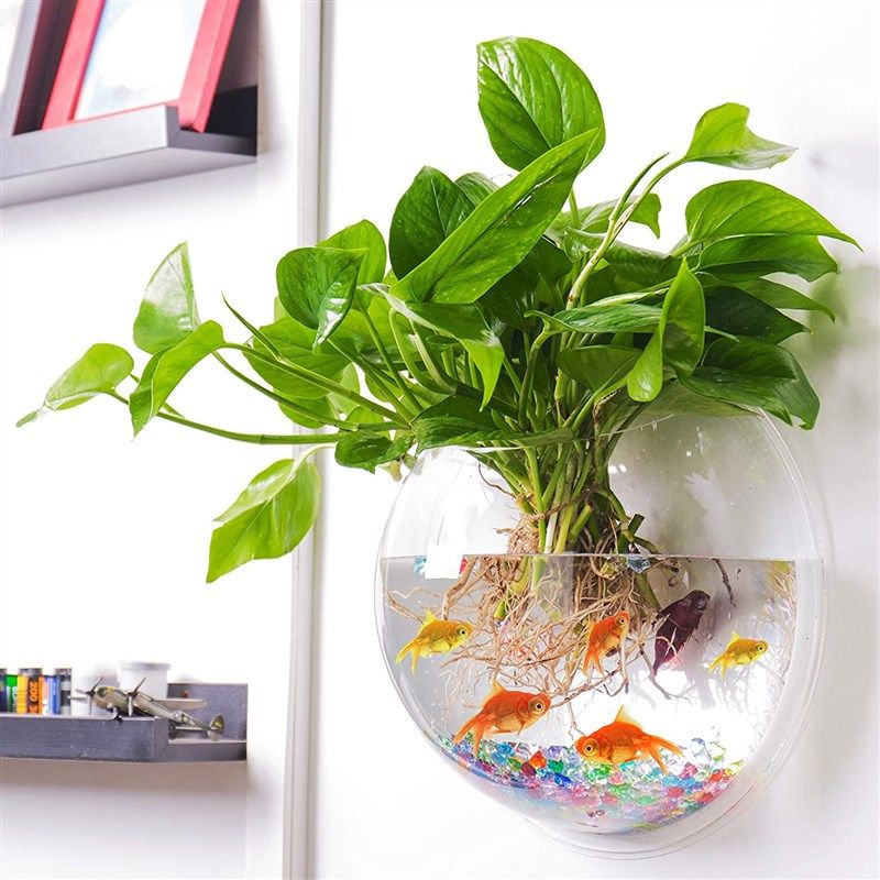 outgeek bubble hanging acrylic aquarium 로고