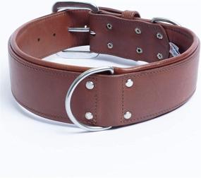 img 4 attached to 🐶 Genuine Top Grain Leather Padded Dog Collar, Handmade, Ultra Soft & Durable Tooled Dog Collar, Brass & Stainless Steel, Ideal for Medium to XXL Breeds, Dallas Collection by Angel Pet Supplies