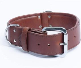 img 2 attached to 🐶 Genuine Top Grain Leather Padded Dog Collar, Handmade, Ultra Soft & Durable Tooled Dog Collar, Brass & Stainless Steel, Ideal for Medium to XXL Breeds, Dallas Collection by Angel Pet Supplies