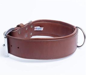 img 3 attached to 🐶 Genuine Top Grain Leather Padded Dog Collar, Handmade, Ultra Soft & Durable Tooled Dog Collar, Brass & Stainless Steel, Ideal for Medium to XXL Breeds, Dallas Collection by Angel Pet Supplies