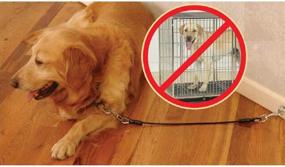 img 3 attached to 🐾 Покрытый нержавеющей сталью изгрызоустойчивый автомобильный ремень для безопасности собаки с двойной ручкой - черный поводок веревка OPETS для автомобильного ремня для собаки