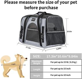 img 2 attached to 🐾 Convenient and Versatile: SOUNDY Pet Carrier - Ideal for Cats and Dogs, Airline Approved and Foldable