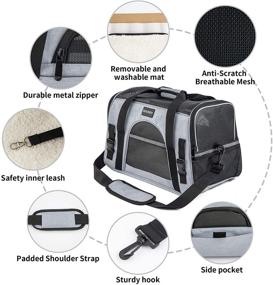 img 1 attached to 🐾 Convenient and Versatile: SOUNDY Pet Carrier - Ideal for Cats and Dogs, Airline Approved and Foldable
