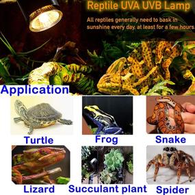 img 1 attached to 🦎 Enhance Reptile Habitat with 75W Reptile Heat Lamp: Adjustable Temperature, 360° Rotation, UVA UVB for Turtles, Lizards, Snakes, & More (Includes 2 x 75W Bulbs)