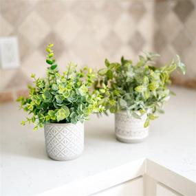 img 3 attached to Small Artificial Plant - Indoor Home Decor - Mini Faux Plant for 🌱 Shelves - White Bathroom Decor - Potted Fake Plant for Office Desk Shelf Decoration