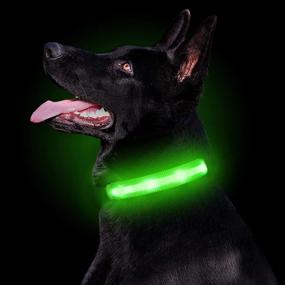 img 4 attached to 🌟 PetIsay Waterproof LED Dog Collar: USB Rechargeable Light-Up Collar for Dogs