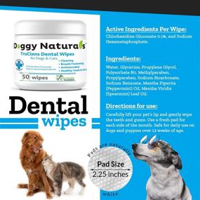 img 3 attached to 🦷 Dental Wipes for Dogs and Cats, Chlorhexidine and Sodium Hexametaphosphate Pads: Plaque & Tartar Remover, Preventing Tooth Decay, Bad Breath & Calculus Buildup