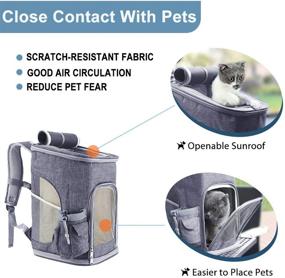 img 1 attached to 🐾 Airline Approved Foldable Pet Carrier Backpack for Travel, Hiking, and Outdoor Use - Under 18 lb Dog, Cat, and Rabbits Carrier Bag with Ventilated Design, Safety Features, Cushion Back Support