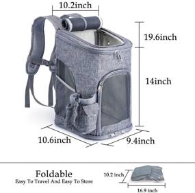 img 3 attached to 🐾 Airline Approved Foldable Pet Carrier Backpack for Travel, Hiking, and Outdoor Use - Under 18 lb Dog, Cat, and Rabbits Carrier Bag with Ventilated Design, Safety Features, Cushion Back Support