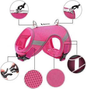 img 3 attached to Beirui Soft Air Mesh Cat Harness and Leash - Escape Proof, Reflective Vest for Walking Cats/Kittens/Puppies/Rabbits