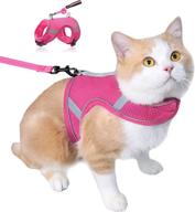 beirui soft air mesh cat harness and leash - escape proof, reflective vest for walking cats/kittens/puppies/rabbits логотип