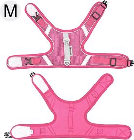 img 2 attached to Beirui Soft Air Mesh Cat Harness and Leash - Escape Proof, Reflective Vest for Walking Cats/Kittens/Puppies/Rabbits