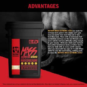 img 2 attached to Mutant Mass Extreme Gainer: Whey Protein Powder for Muscle Size & Strength - High Density Clean Calories - 7 lbs Cookies and Cream
