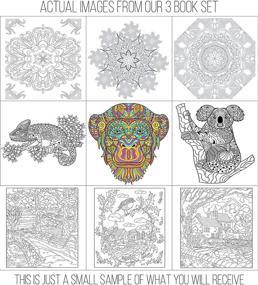 img 1 attached to 📘 Set of 3 Adult Coloring Books - 120 Unique Designs of Animals, Scenery, and Mandalas for Relaxation. Coloring Books for Adults for Improved SEO.