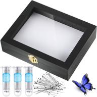 🐛 insect display: enhance science education with acrylic entomology specimens logo