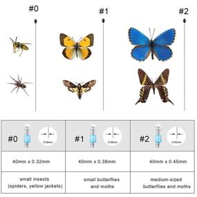 img 3 attached to 🐛 Insect Display: Enhance Science Education with Acrylic Entomology Specimens