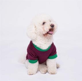 img 3 attached to 🐶 Chol&Vivi Hawaiian Dog T-Shirts: Stylish Wear for Small to Extra Large Dogs