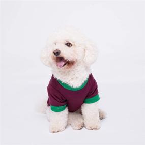 img 2 attached to 🐶 Chol&Vivi Hawaiian Dog T-Shirts: Stylish Wear for Small to Extra Large Dogs