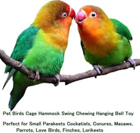 img 1 attached to 🦜 Bird Parrot Toys Set – Bonaweite Pet Birds Cage Hammock Swing Chewing Hanging Bell Toy for Small Parakeets, Cockatiels, Conures, Macaws, Parrots, Love Birds, Finches, and Lorikeets