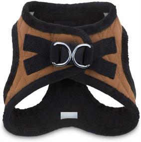 img 3 attached to 🐾 Лучшее оборудование для домашних животных Voyager Step-In Plush Dog Harness - Мягкий плюшевый жилет для маленьких и средних собак - Окончательный комфорт и удобство