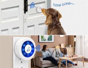 img 3 attached to Weird Tails Dog Bell for Door Potty Training - Wireless Dog Bell IP65 Waterproof Doorbell Chime - Operating up to 950 Feet - 20 Melodies - 5 Volume Levels - LED Flash - 1 Receiver & 2 Transmitters