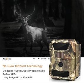 img 1 attached to 📷 WingHome Trail Camera - 12/16/22MP 1080P Game Camera with Night Vision No Glow, 0.4s Trigger Time - Outdoor Wildlife Camera Motion Activated Waterproof - 58pcs IR LEDs Infrared Hunting Camera